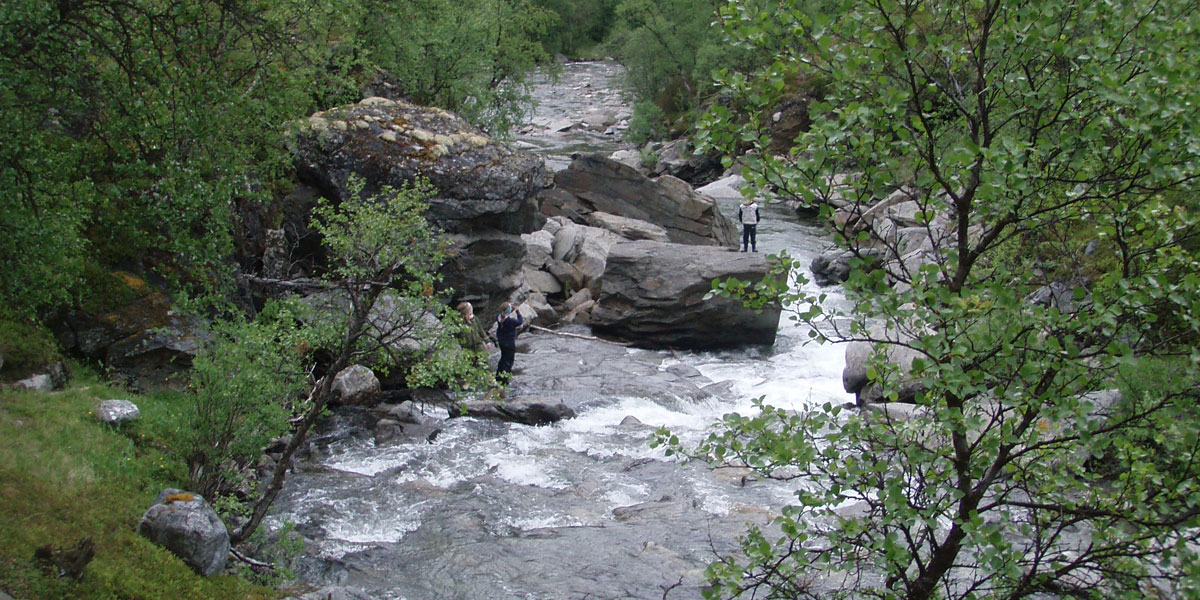 Ytre Billefjordelva - Gorbovuonjohka