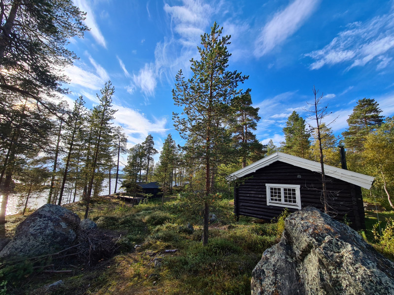 Sortbrysttjern