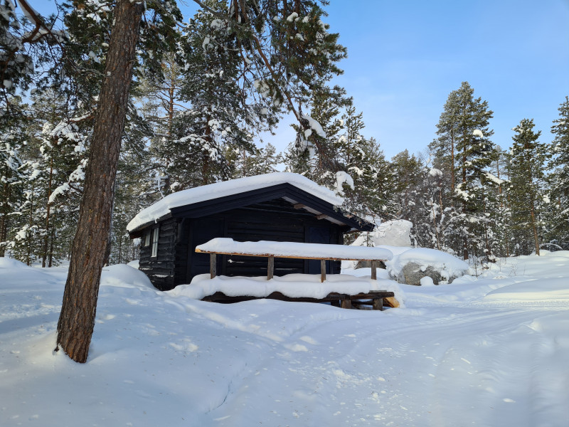 Sortbrysttjern
