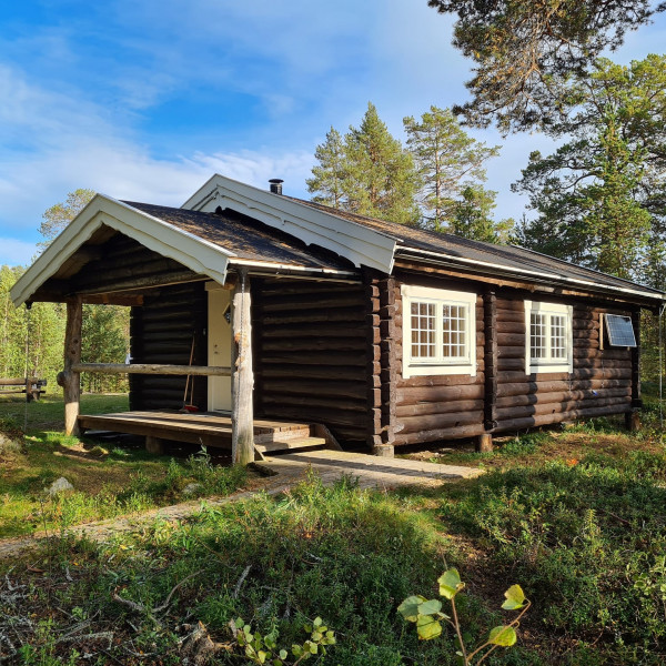Sortbrysttjern
