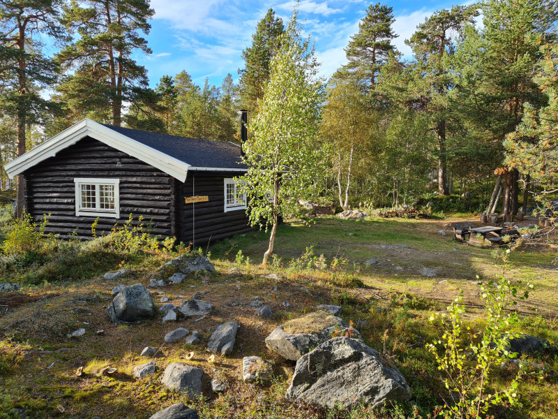 Sortbrysttjern