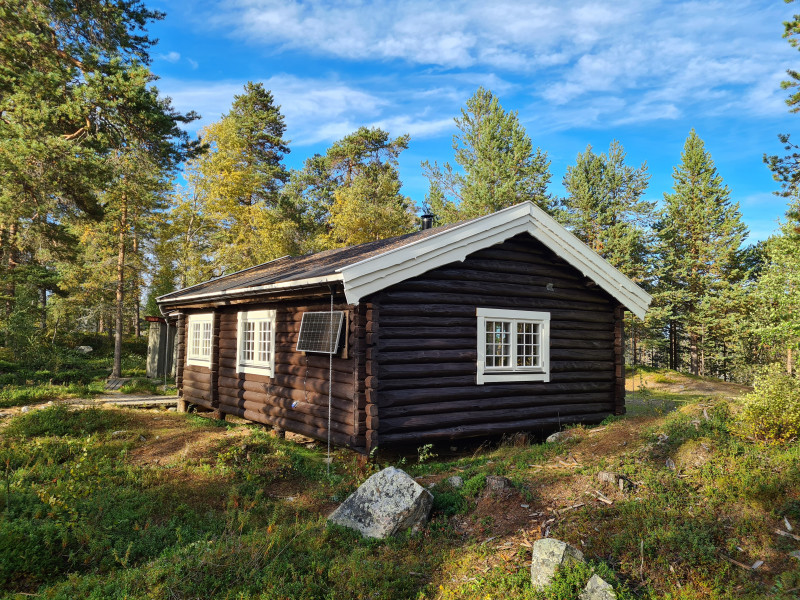 Sortbrysttjern