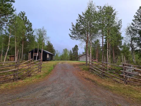 Ellentjern