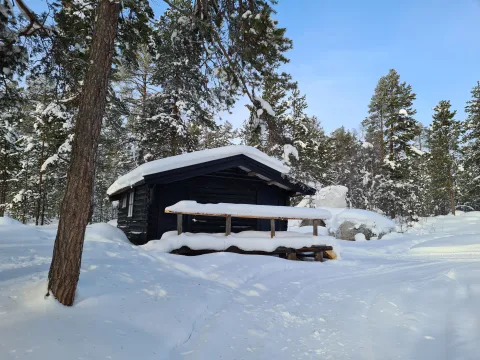 Sortbrysttjern