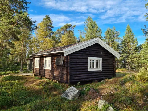 Sortbrysttjern