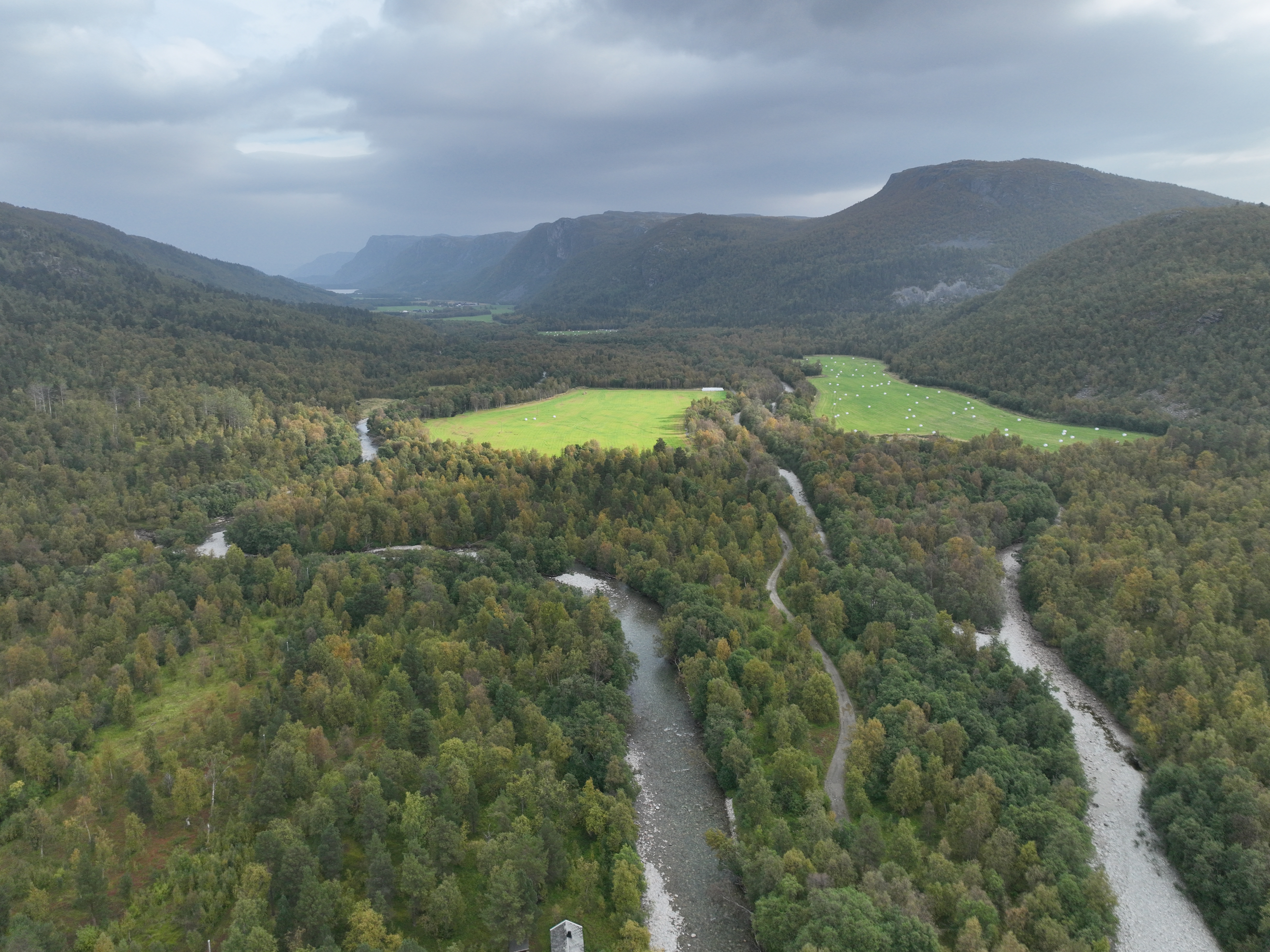 DJI_20240901095027_0005_V.JPG