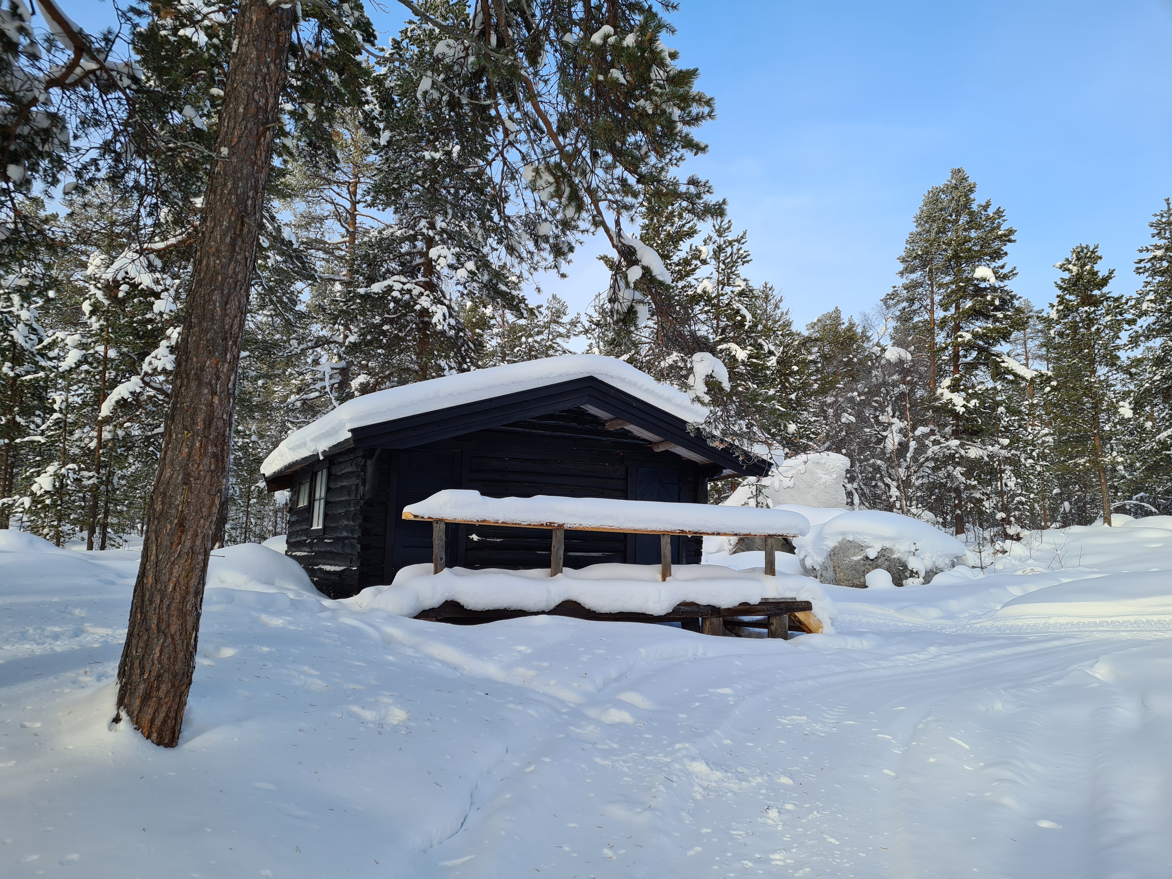 Sortbrysttjern-10.jpg